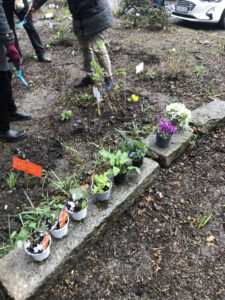 EssBO! - Essbare Stadt