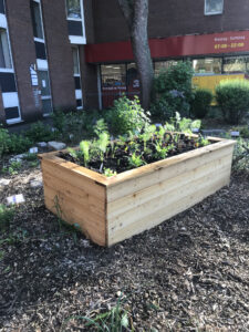 EssBO! - Essbare Stadt