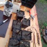 EssBO! Gärten und Gärtnern