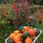 EssBO! Gärten und Gärtnern