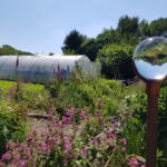 EssBO! Gärten und Gärtnern